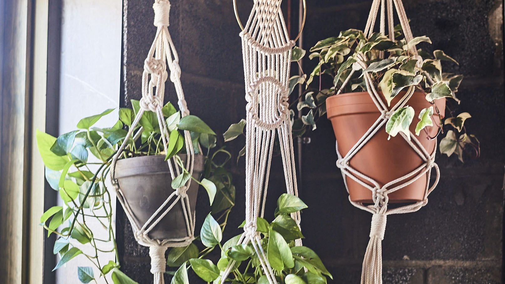 Botanica Detroit Macrame Plant Hanger workshop at frame